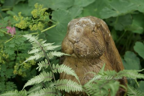 The rabbit statue has almost disappeared! 